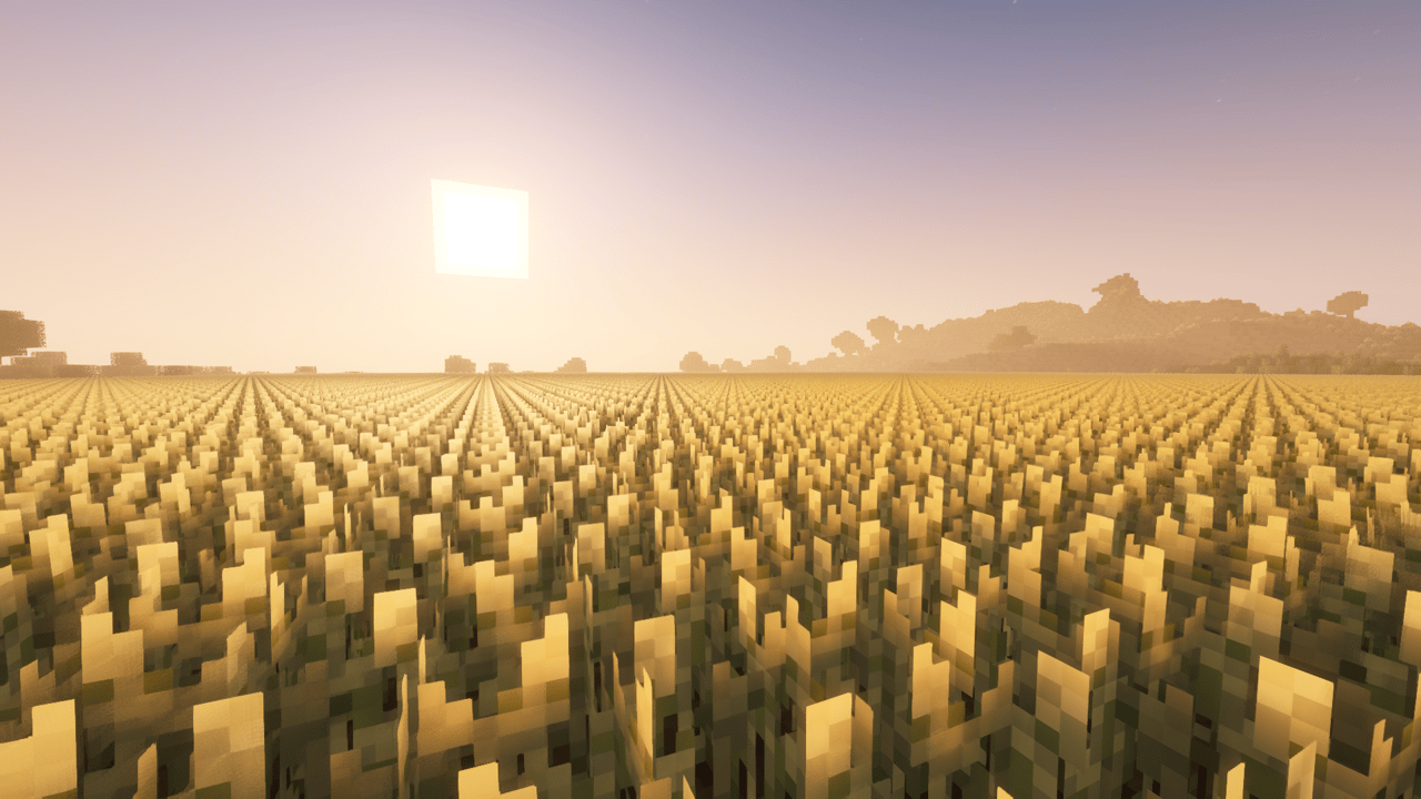 Wheat — image 1