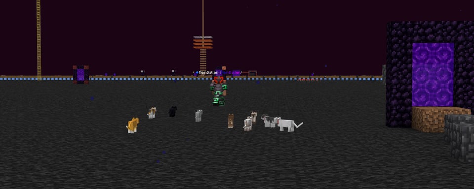 the cat whisperer — image 1